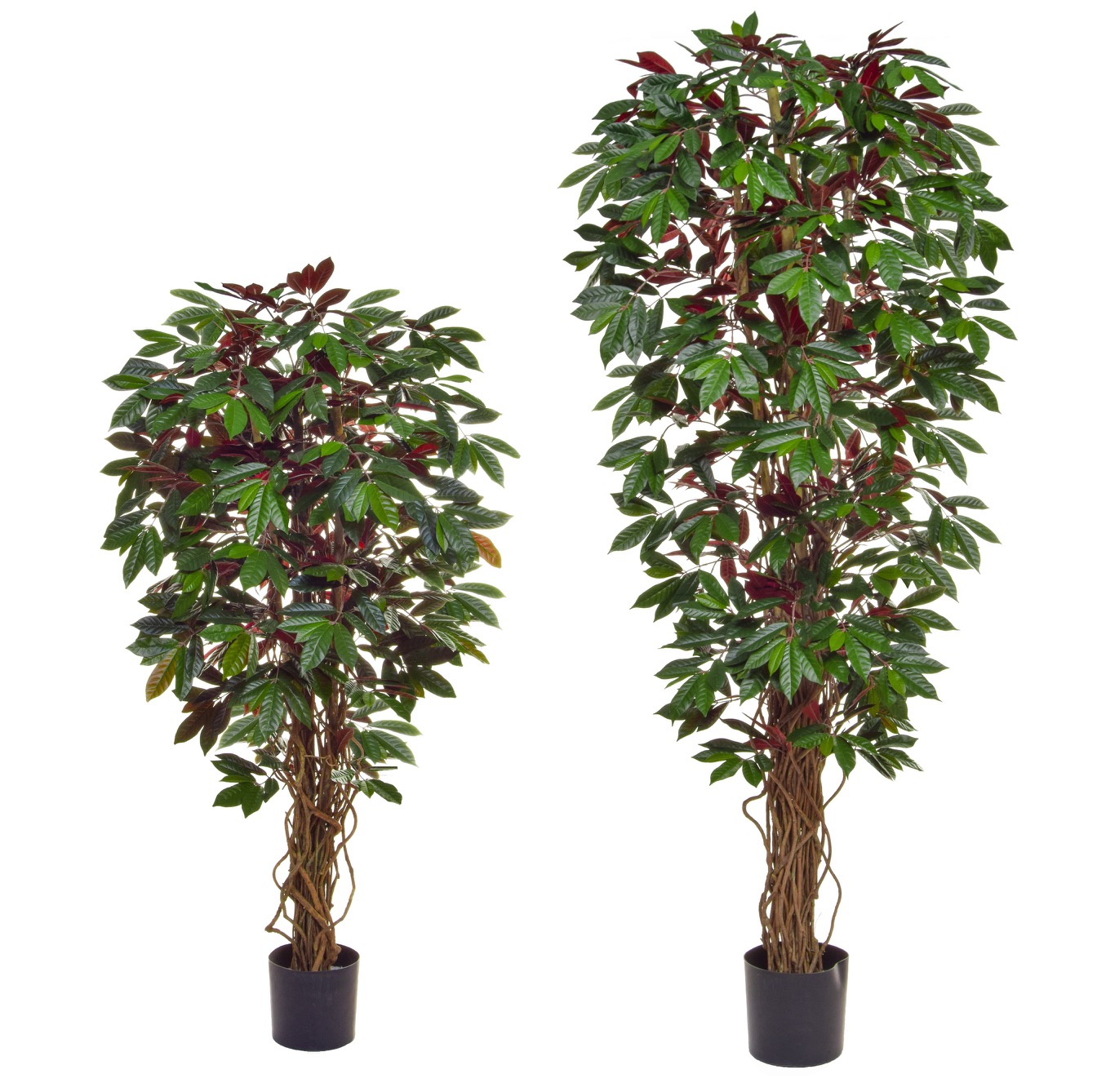 Artificial Tropical & Exotic Trees from plantART